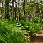 Campsite Sous Le Sen Yan Des Tropiques Mezos